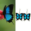 A pair of butterfly-shaped earrings with bright blue and black wings, shown alongside a real butterfly perched on a pink flower. The earrings are displayed on a white background with silver hooks.