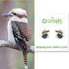 Bird perched on a branch with smyle designs packaging featuring bird illustrations.