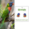 Colorful parrot on a branch next to rainbow-colored earrings with 'smyle designs' branding.