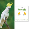 White cockatoo with yellow crest on a branch, Smyle Designs logo with recycling theme.